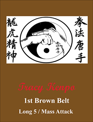 Tracy Kenpo Karate 1st Brown Belt Katas, Long 5 and Mass Attack